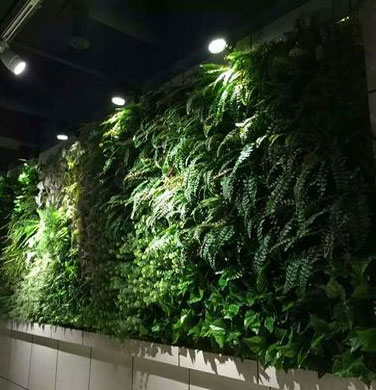 Artificial Green Wall