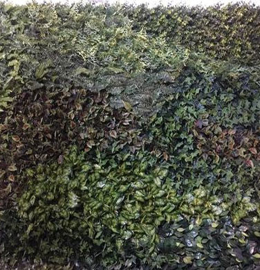 Artificial Green Wall