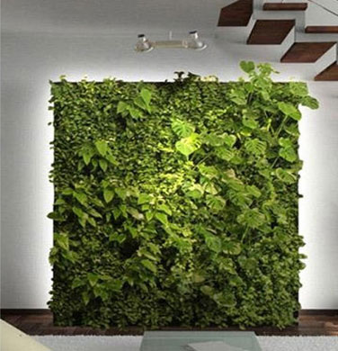 Green Wall Construction