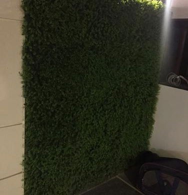 Artificial Green Wall