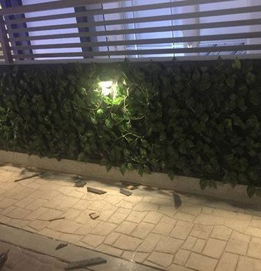 Artificial Green Wall