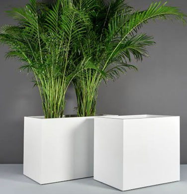 Rectangular Planter