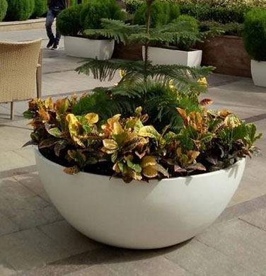 Garden Planter